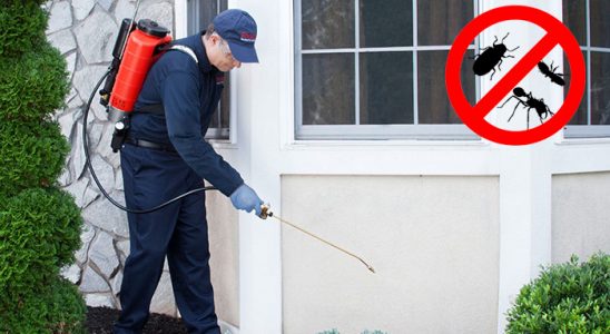 Pursaklar Böcek İlaçlama böcek ilaçlama ve haşere kontrolü — ilaclama-tr.com